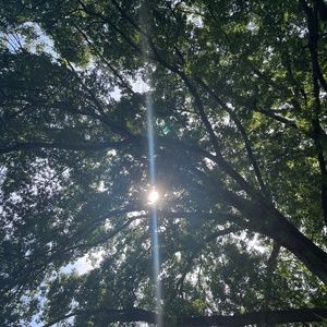 Meet your Posher, Sydney